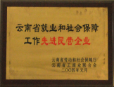 2004年被云南省工商聯(lián)合會授予“先進民營企業(yè)稱號”